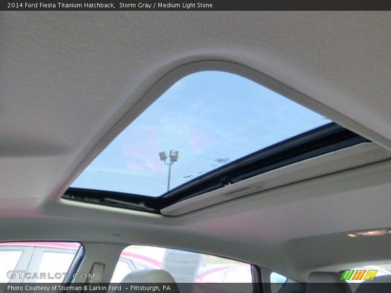 Storm Gray / Medium Light Stone 2014 Ford Fiesta Titanium Hatchback