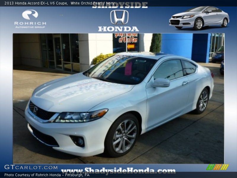 White Orchid Pearl / Ivory 2013 Honda Accord EX-L V6 Coupe