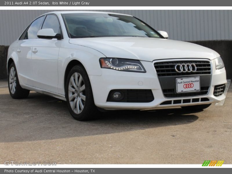 Ibis White / Light Gray 2011 Audi A4 2.0T Sedan