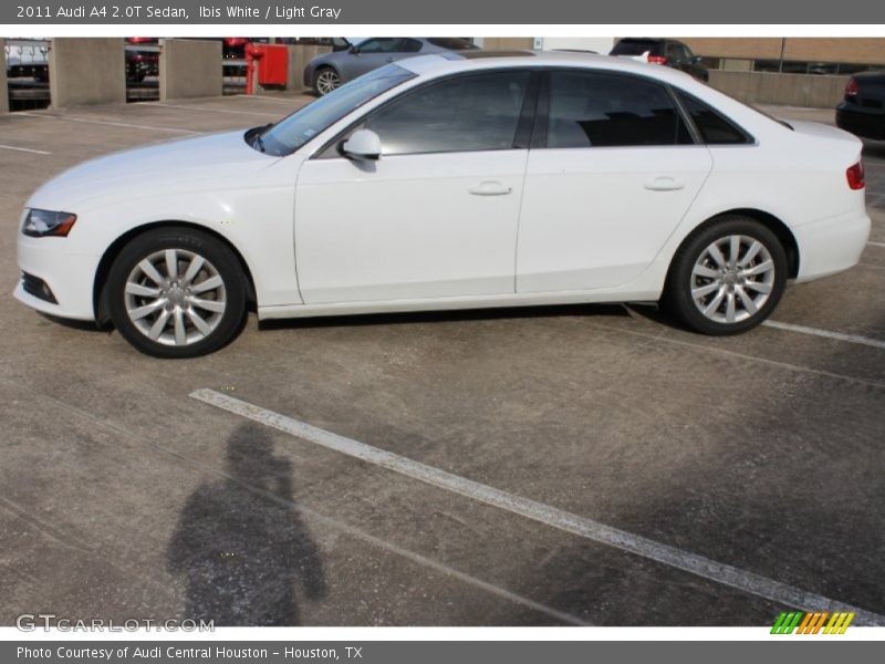 Ibis White / Light Gray 2011 Audi A4 2.0T Sedan