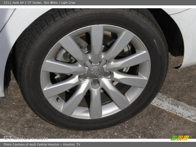 Ibis White / Light Gray 2011 Audi A4 2.0T Sedan