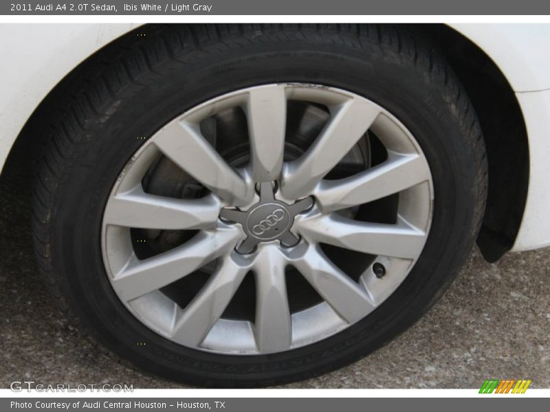 Ibis White / Light Gray 2011 Audi A4 2.0T Sedan