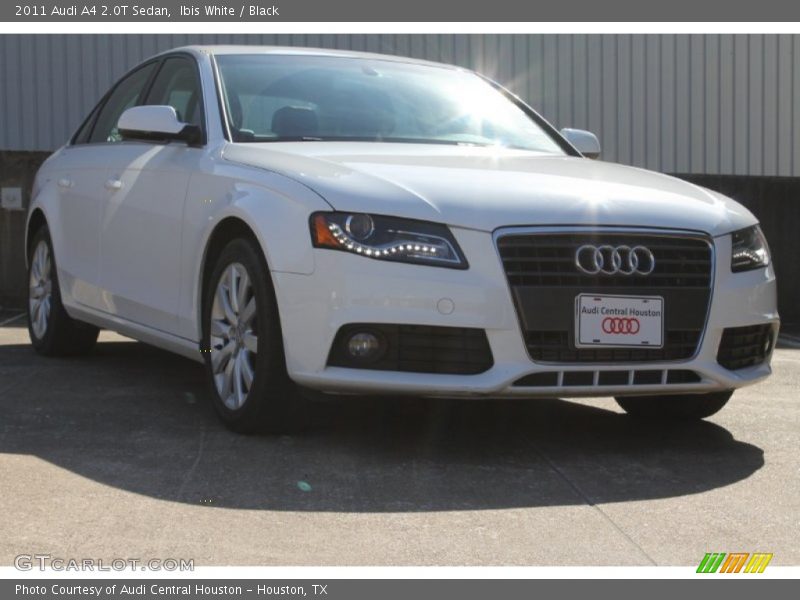 Ibis White / Black 2011 Audi A4 2.0T Sedan