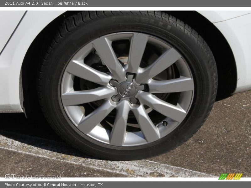 Ibis White / Black 2011 Audi A4 2.0T Sedan