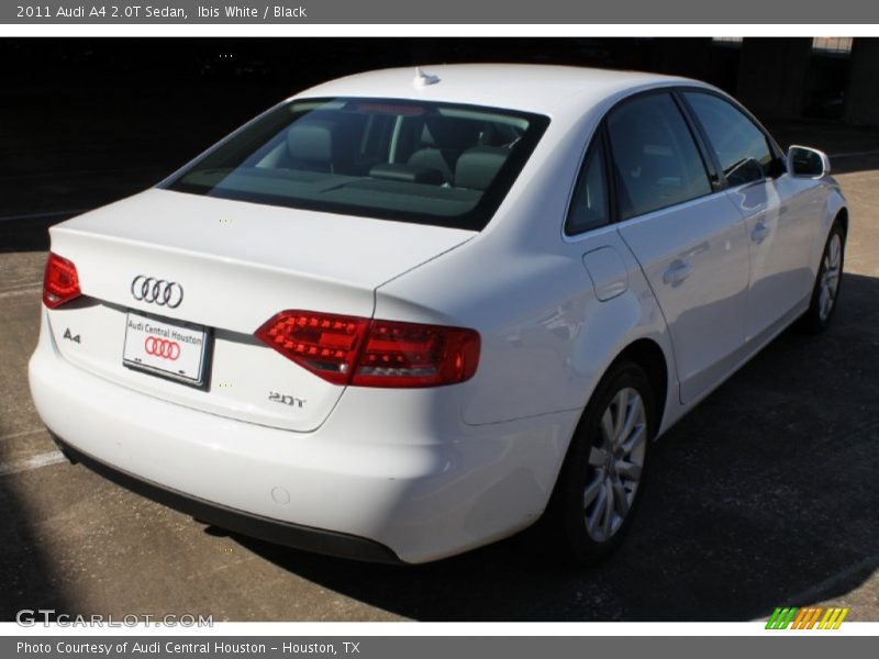 Ibis White / Black 2011 Audi A4 2.0T Sedan