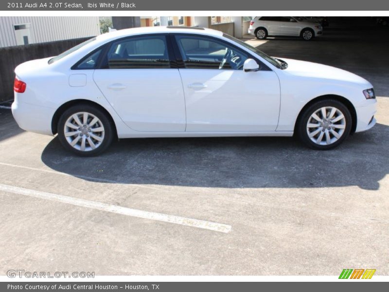 Ibis White / Black 2011 Audi A4 2.0T Sedan