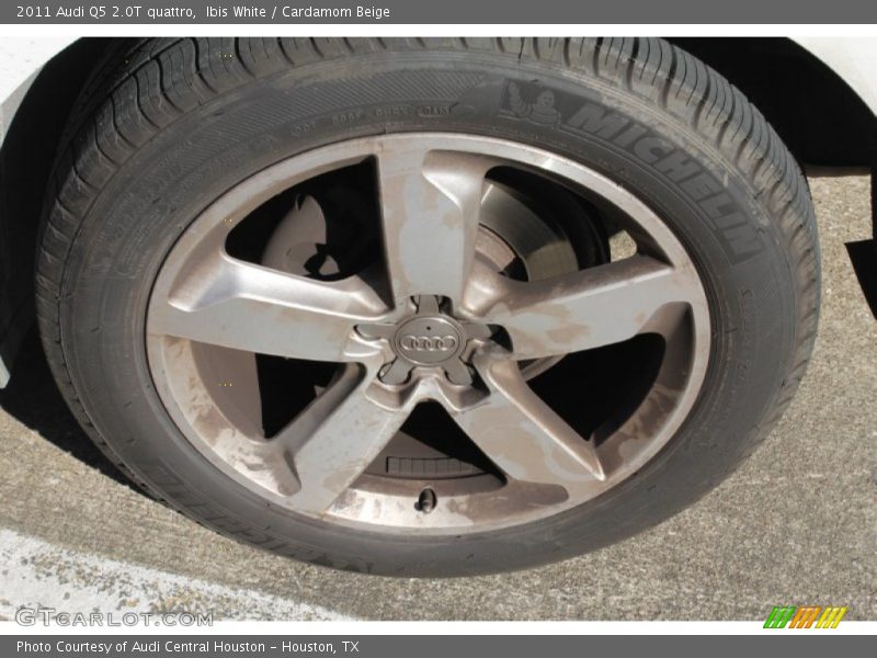 Ibis White / Cardamom Beige 2011 Audi Q5 2.0T quattro