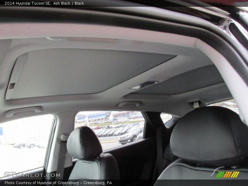 Ash Black / Black 2014 Hyundai Tucson SE