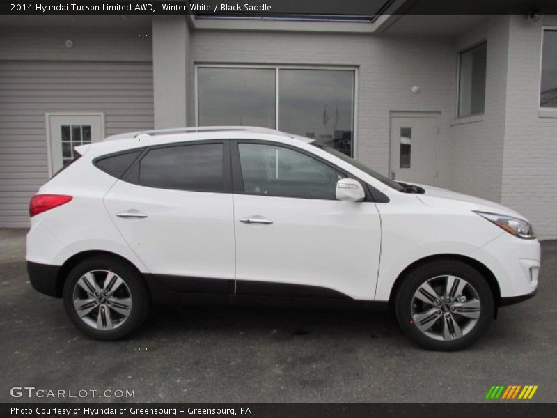 Winter White / Black Saddle 2014 Hyundai Tucson Limited AWD