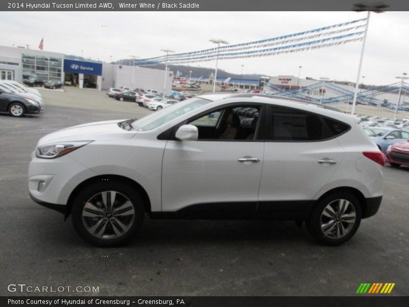 Winter White / Black Saddle 2014 Hyundai Tucson Limited AWD