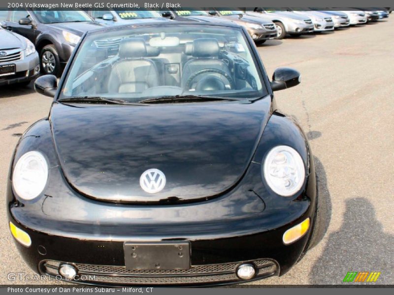 Black / Black 2004 Volkswagen New Beetle GLS Convertible