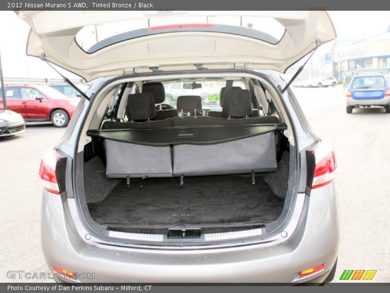 Tinted Bronze / Black 2012 Nissan Murano S AWD