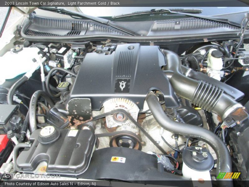 Light Parchment Gold / Black 2003 Lincoln Town Car Signature