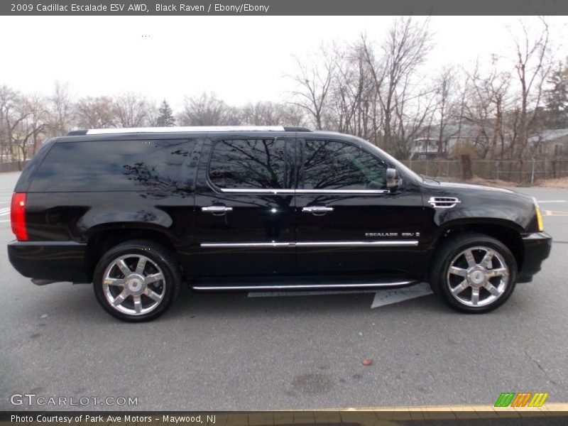 Black Raven / Ebony/Ebony 2009 Cadillac Escalade ESV AWD