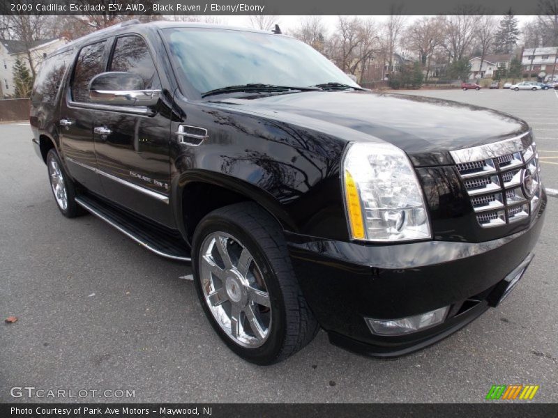 Black Raven / Ebony/Ebony 2009 Cadillac Escalade ESV AWD