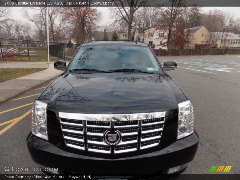 Black Raven / Ebony/Ebony 2009 Cadillac Escalade ESV AWD