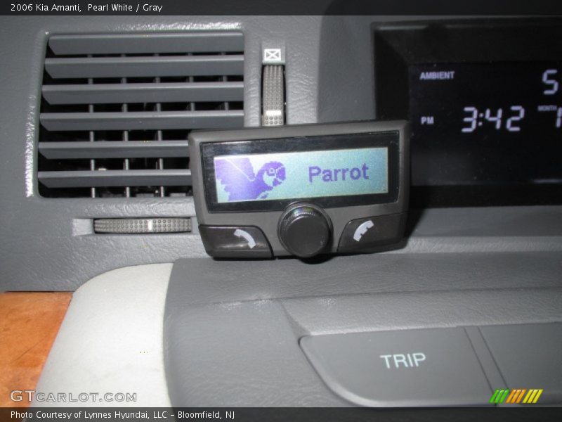 Pearl White / Gray 2006 Kia Amanti