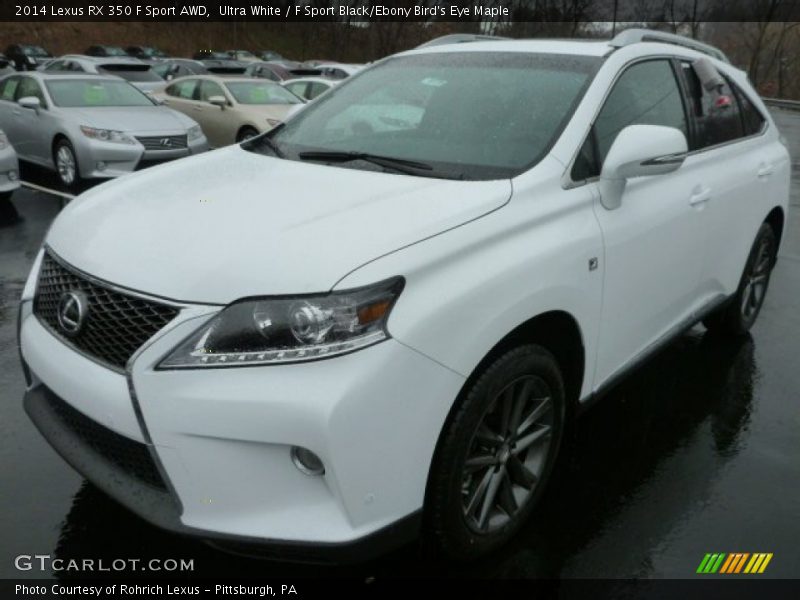 Ultra White / F Sport Black/Ebony Bird's Eye Maple 2014 Lexus RX 350 F Sport AWD