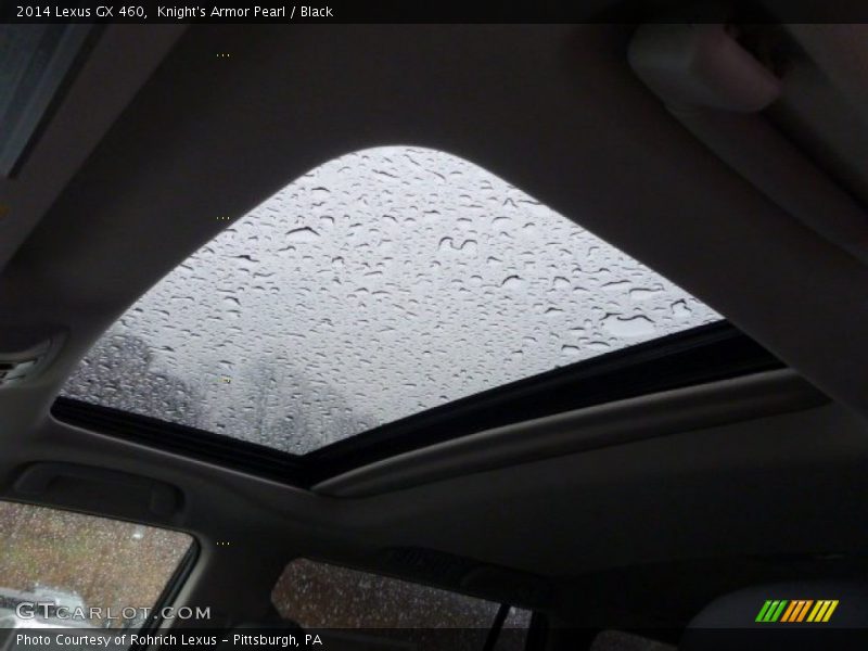 Sunroof of 2014 GX 460