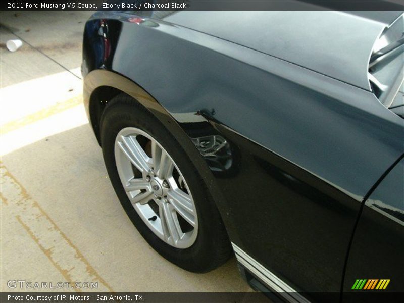 Ebony Black / Charcoal Black 2011 Ford Mustang V6 Coupe
