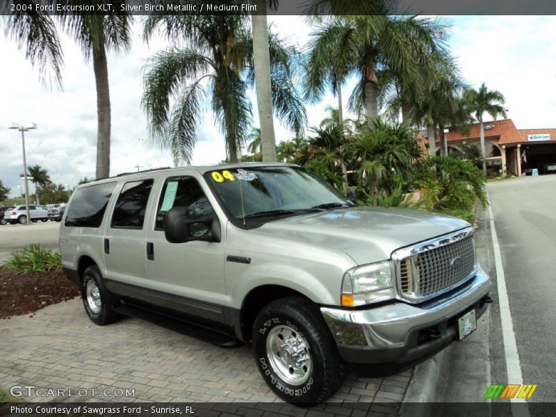 Silver Birch Metallic / Medium Flint 2004 Ford Excursion XLT