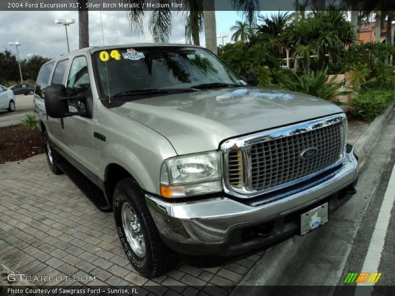 Silver Birch Metallic / Medium Flint 2004 Ford Excursion XLT