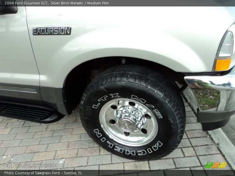 Silver Birch Metallic / Medium Flint 2004 Ford Excursion XLT