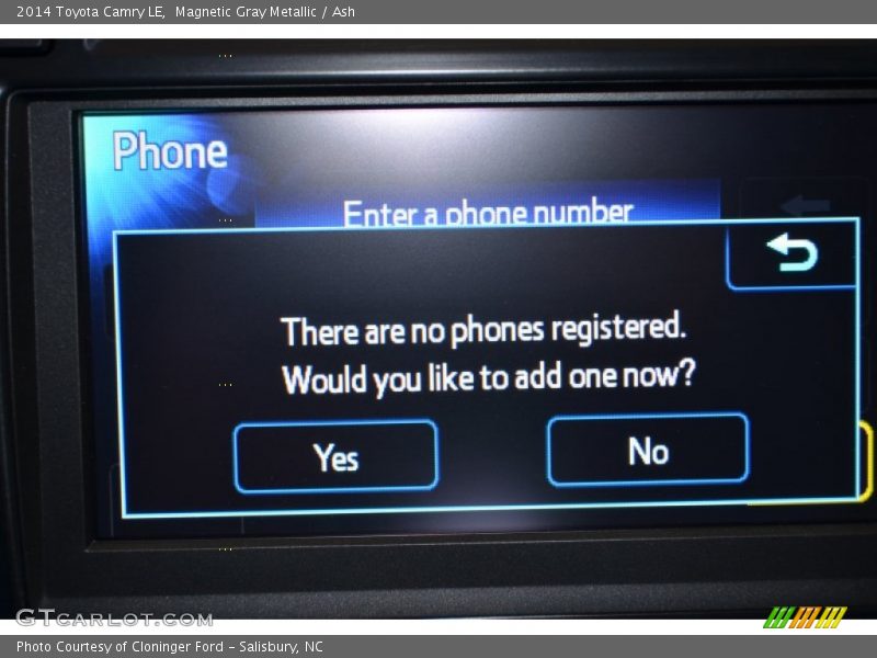 Magnetic Gray Metallic / Ash 2014 Toyota Camry LE