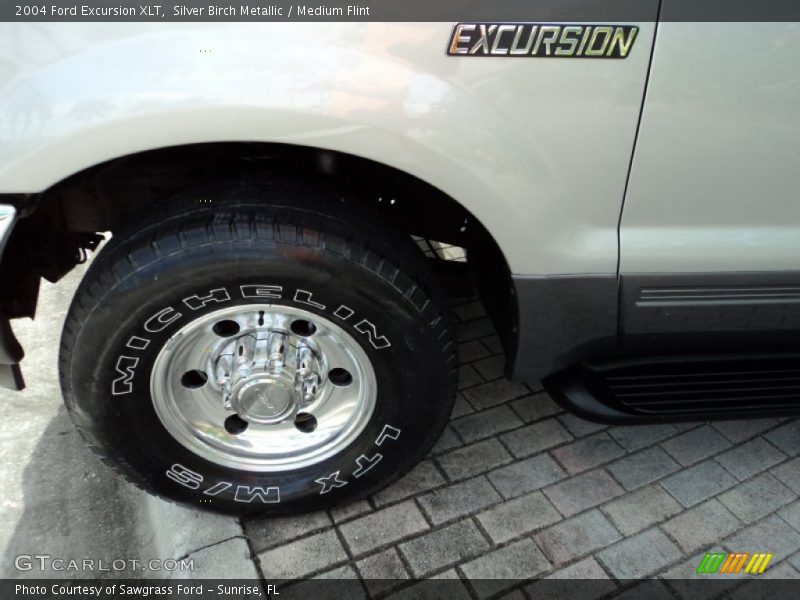Silver Birch Metallic / Medium Flint 2004 Ford Excursion XLT