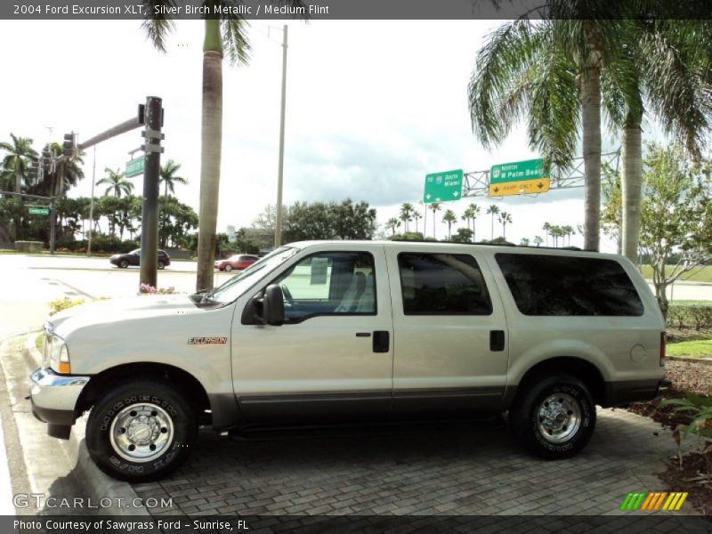 Silver Birch Metallic / Medium Flint 2004 Ford Excursion XLT