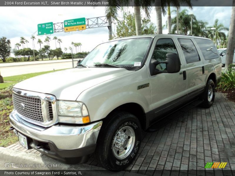 Silver Birch Metallic / Medium Flint 2004 Ford Excursion XLT