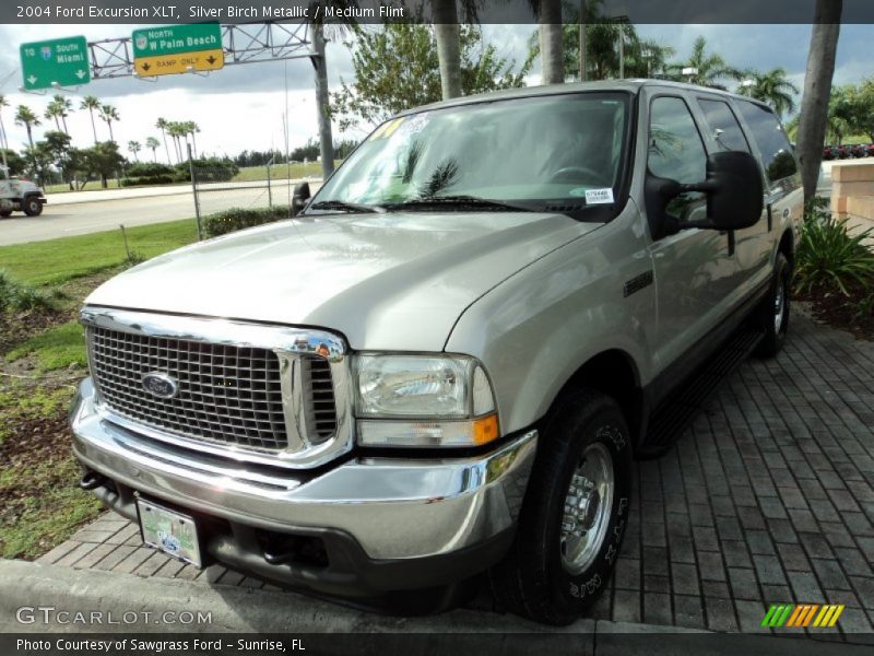 Silver Birch Metallic / Medium Flint 2004 Ford Excursion XLT