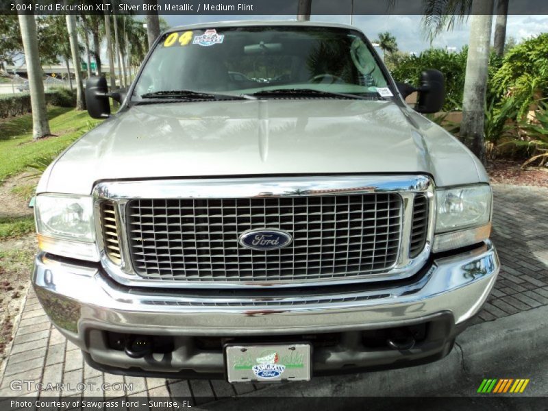 Silver Birch Metallic / Medium Flint 2004 Ford Excursion XLT