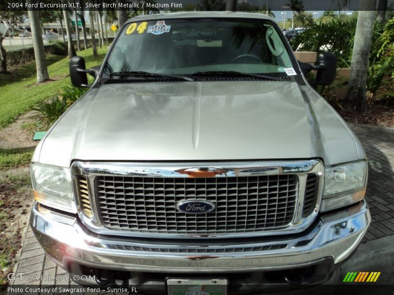 Silver Birch Metallic / Medium Flint 2004 Ford Excursion XLT