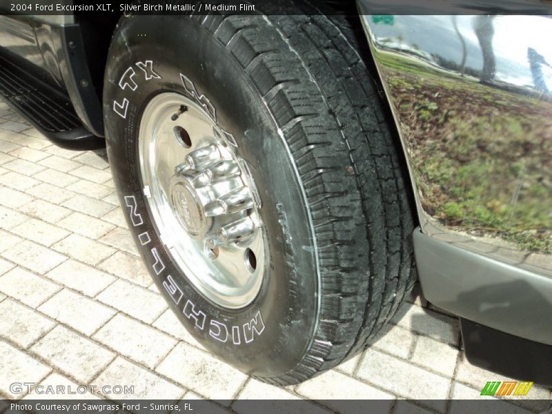 Silver Birch Metallic / Medium Flint 2004 Ford Excursion XLT