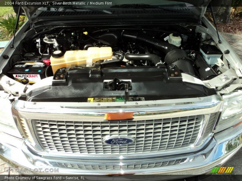 Silver Birch Metallic / Medium Flint 2004 Ford Excursion XLT