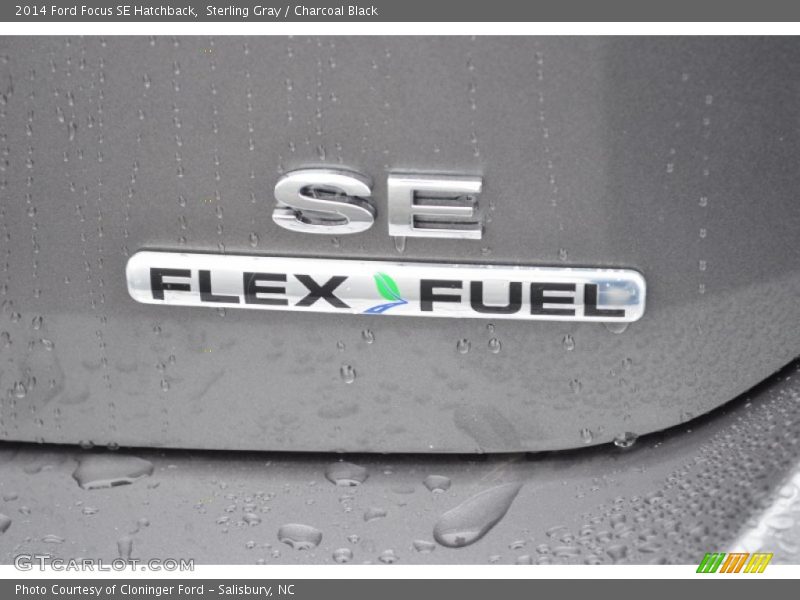 Sterling Gray / Charcoal Black 2014 Ford Focus SE Hatchback