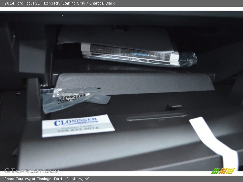 Sterling Gray / Charcoal Black 2014 Ford Focus SE Hatchback