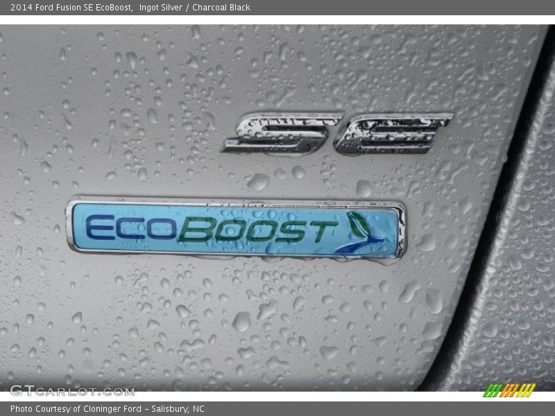 Ingot Silver / Charcoal Black 2014 Ford Fusion SE EcoBoost