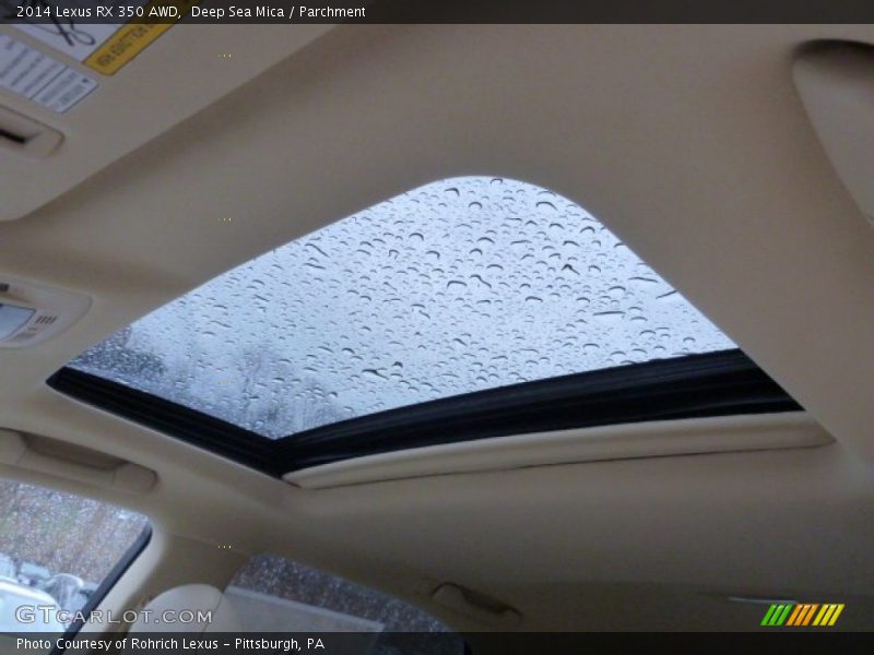 Deep Sea Mica / Parchment 2014 Lexus RX 350 AWD