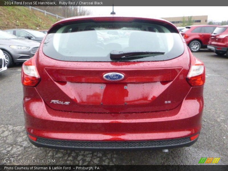 Ruby Red / Charcoal Black 2014 Ford Focus SE Hatchback