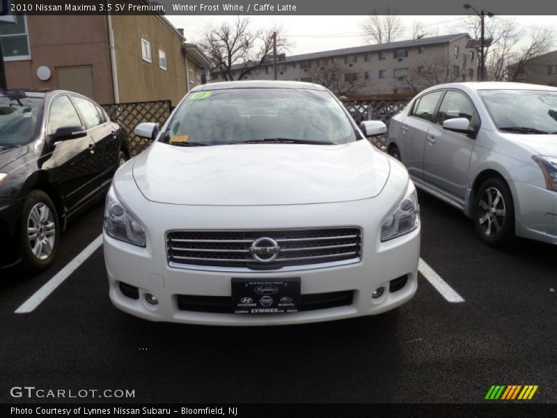 Winter Frost White / Caffe Latte 2010 Nissan Maxima 3.5 SV Premium