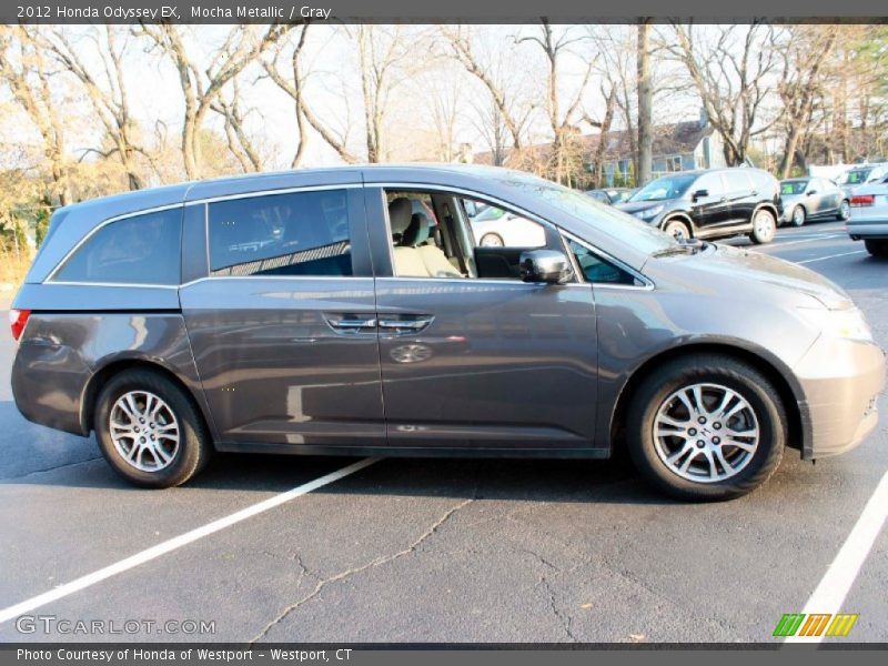 Mocha Metallic / Gray 2012 Honda Odyssey EX