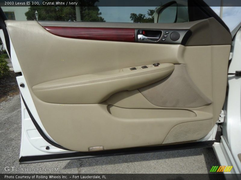Door Panel of 2003 ES 300