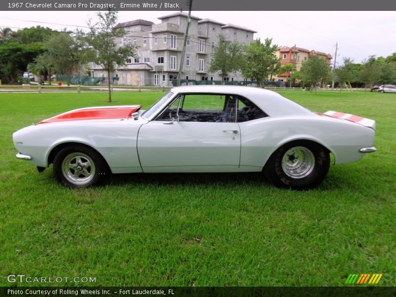 Ermine White / Black 1967 Chevrolet Camaro Pro Dragster