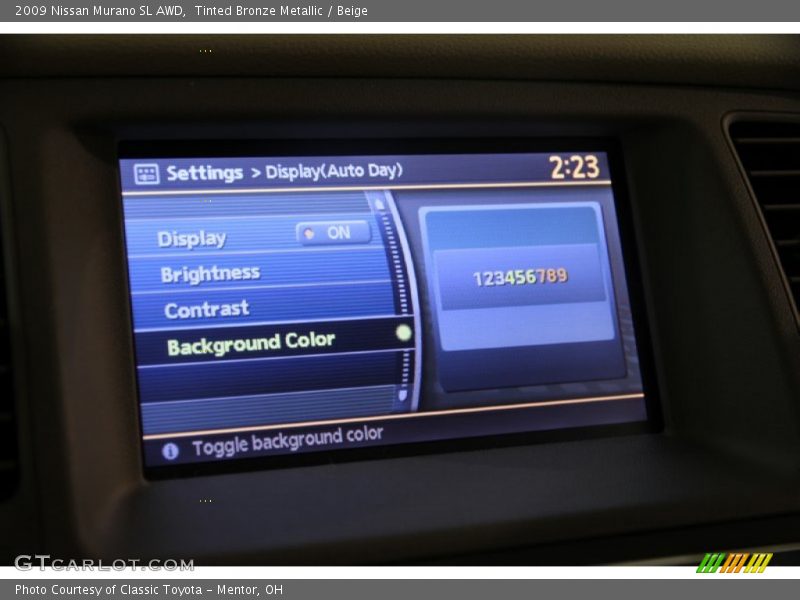 Tinted Bronze Metallic / Beige 2009 Nissan Murano SL AWD