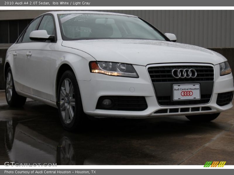 Ibis White / Light Gray 2010 Audi A4 2.0T Sedan