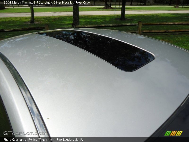Liquid Silver Metallic / Frost Gray 2004 Nissan Maxima 3.5 SL