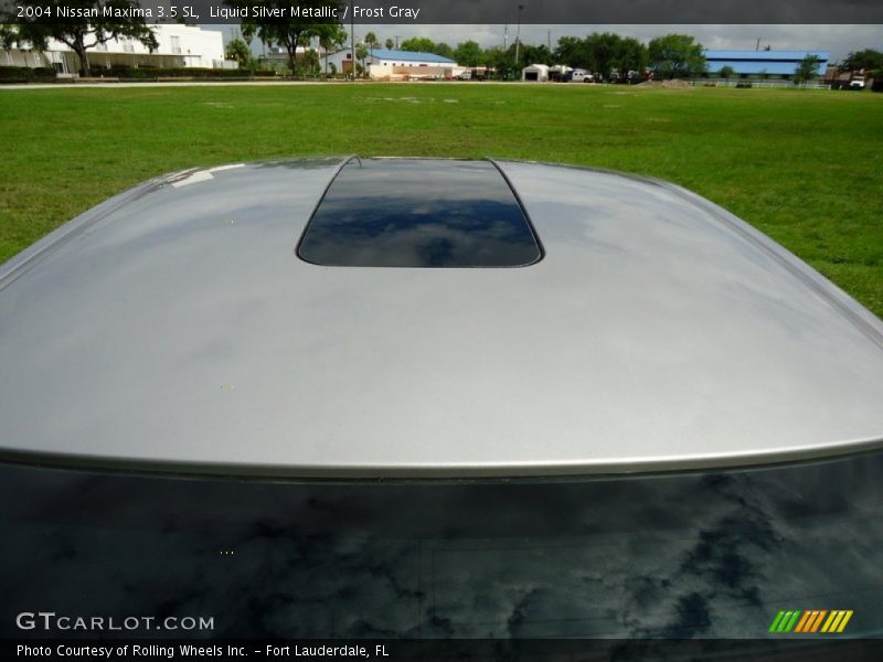 Liquid Silver Metallic / Frost Gray 2004 Nissan Maxima 3.5 SL