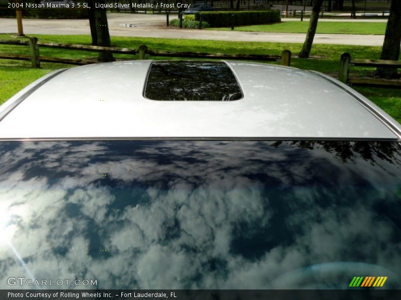 Liquid Silver Metallic / Frost Gray 2004 Nissan Maxima 3.5 SL